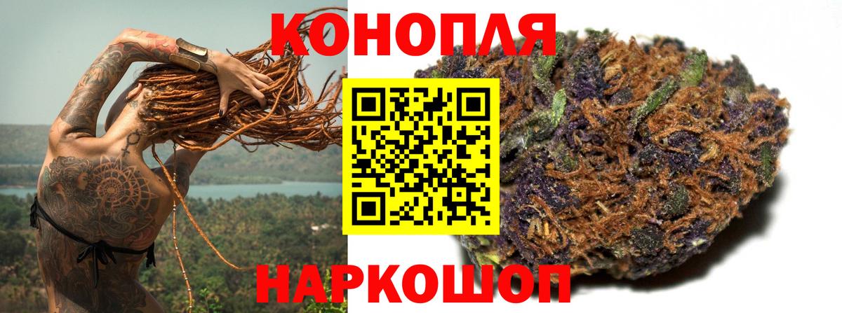 Кудрово  Шишки марихуана сатива  Бошки Шишки тримм  Вход с VPN  Каннабис THC 21% 